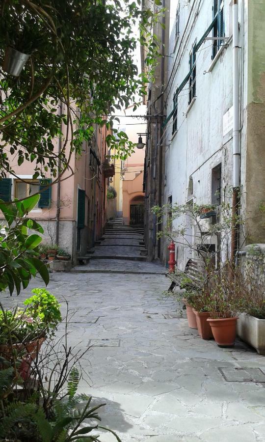 Il Nido Delle Taccole Apartamento Fezzano  Exterior foto